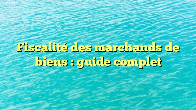 Fiscalité des marchands de biens : guide complet